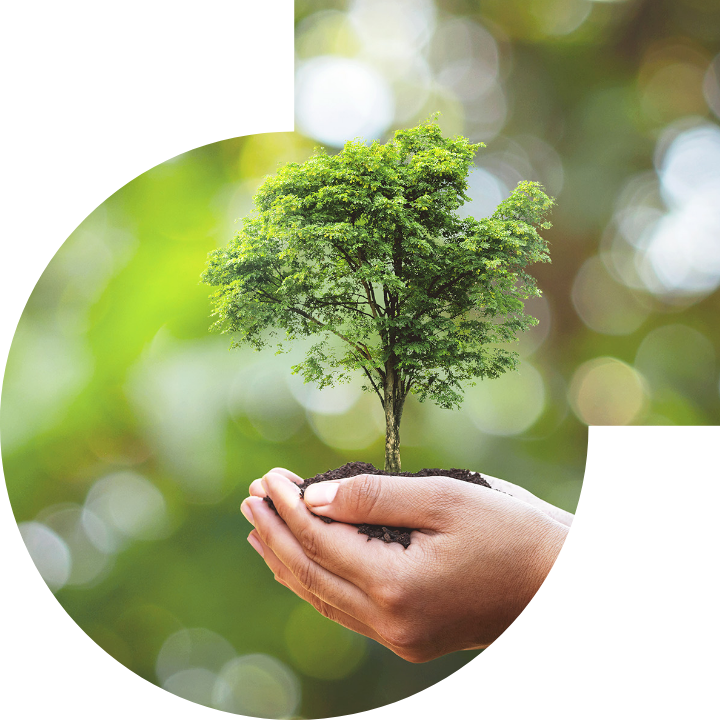 关怀人类、文化、环境与社会